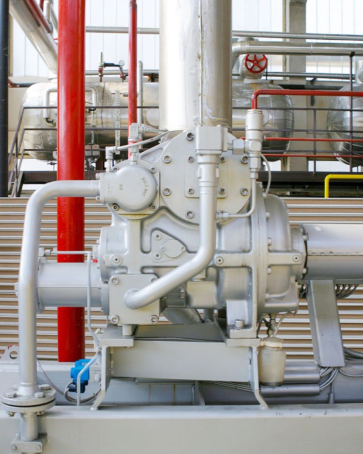 Compressor and vacuum pump